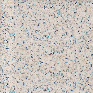 NPT Puerto Rico Blend Small Aqua Cool pool finish swatch